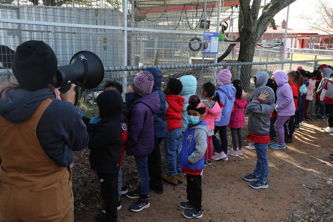 Many students looking at the bear exhibit