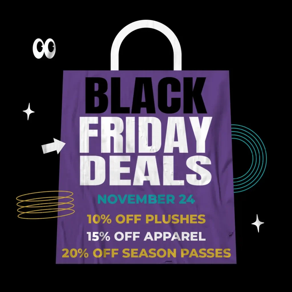 Black Friday Sale