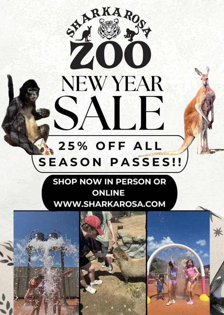 New Year Sale 25%off