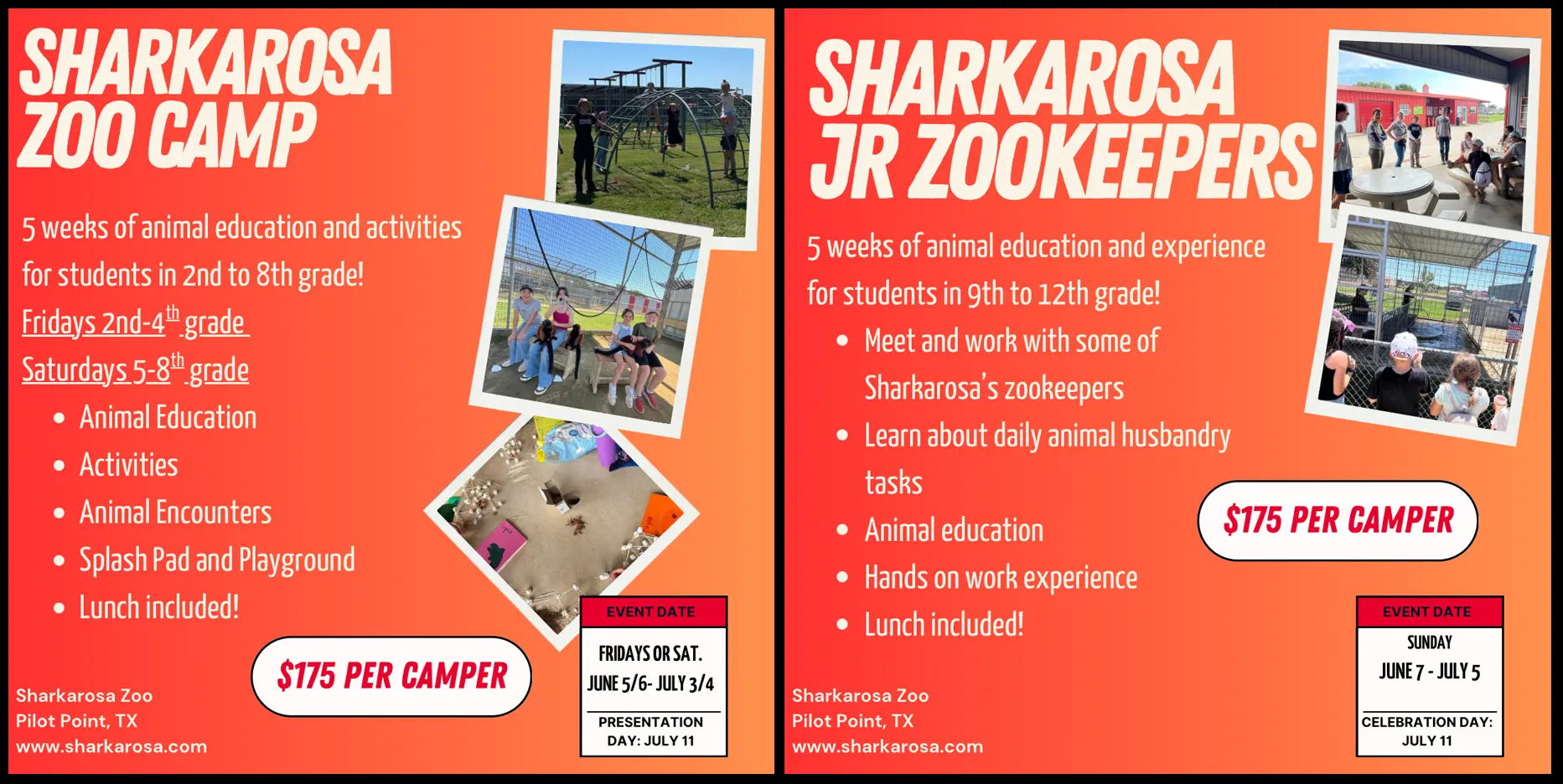 Sharkarosa Summer Camps 2026 Information