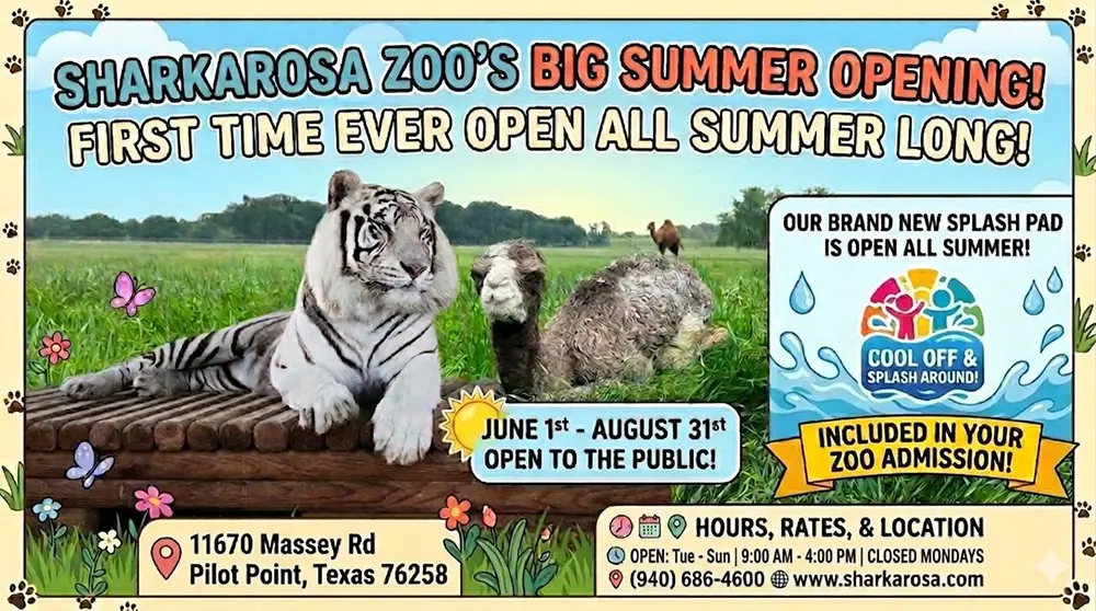 Sharkarosa Summer Hours